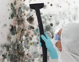 Why You Should Choose Our Mold Remediation Services in Chillicothe, MO